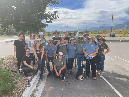 B Corp Recertification 2023