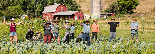 B Corp Month & Women’s Day