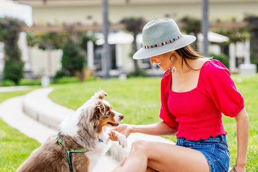 Sedona in NYT Holiday Gift Guide