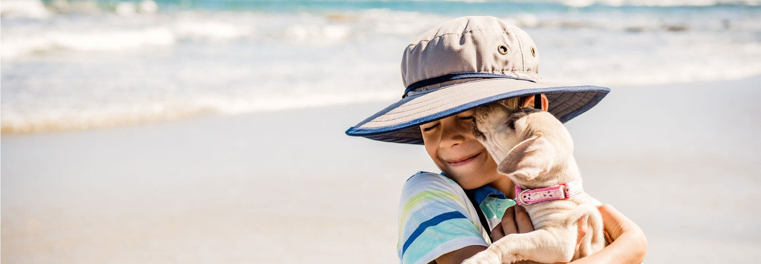 Adventure Meets Tail-wagging Comfort